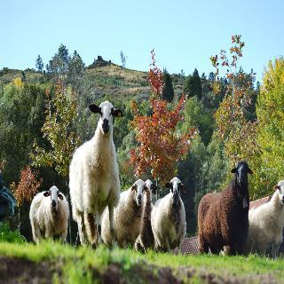 Quinta Da Mata Otel Chaves Dış mekan fotoğraf